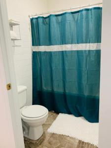 uma casa de banho com uma cortina de chuveiro azul e um WC. em EC Reed's Mercantile and Hotel em Marble Hill