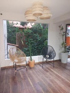 2 sillas y una planta en una habitación con ventana en Meu Dengo Pousada, en Morro de São Paulo