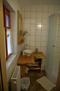 a small bathroom with a sink and a mirror at Magdi vendégház in Šupljak