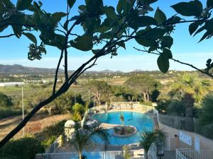 Basen w obiekcie Mobile Home, Camping Le Dattier, Fréjus, South of France lub w pobliżu