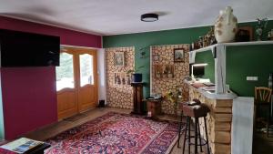 a living room with green and purple walls at Rezydencja Nad Potoczkiem in Wisła