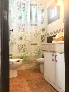 a bathroom with a toilet and a shower curtain at Duplex 3 dormitorios con parking privado in Costa Teguise