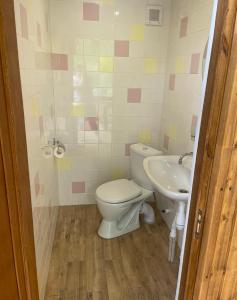 un baño con inodoro y lavabo en TOON 94, en Dilijan 23 fotos más