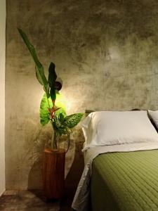 Casa Salvaje Vacation Rentals في بوكاس تاون: غرفة نوم مع سرير وزرع الفخار