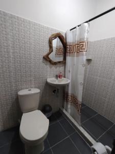uma casa de banho com um WC, um lavatório e um chuveiro em Hostal Casa Madrigal em Filandia