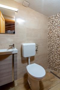 łazienka z toaletą i umywalką w obiekcie Apartment Medulin 2274d w Medulinie