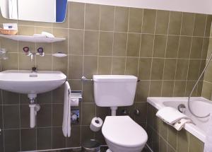 
a white toilet sitting next to a sink in a bathroom at Hotel Garni Fontana in Twann
