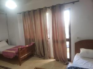 Schlafzimmer mit einem Bett und einem Fenster mit Vorhängen in der Unterkunft Hostel Split Rock in Tirana
