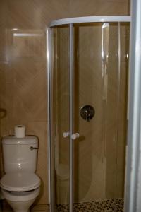 Un baño con inodoro y ducha de cristal. en 66, en Richards Bay
