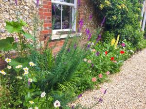 a garden of flowers in front of a window at Forge Cottage in Bradenham