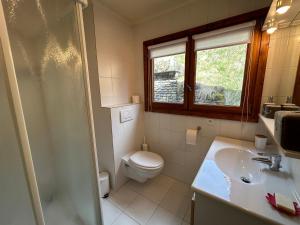 a bathroom with a toilet and a sink at Chalet La Clusaz, 5 pièces, 9 personnes - FR-1-437-103 in La Clusaz