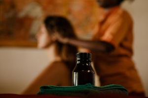 Hosté ubytování Thaulle Ayurveda Resort - Yala