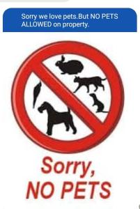 a sign with a no pets sign with a no dogs sign at CRISTINA Beachfront Cottages in San Juan +50 photos