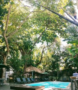 Piscina di Jungle Addition o nelle vicinanze