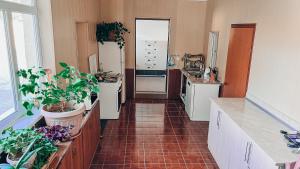 Kuchyň nebo kuchyňský kout v ubytování Surf Dacha Guest House