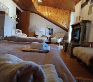 a living room with two beds and a fireplace at Cozy Loft with Fireplace & View in Metsovo