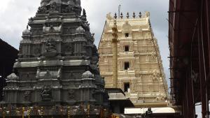 two towers of a building with people standing between them at SRI BHAVYARESIDENCY in Bhadrāchalam +23 photos