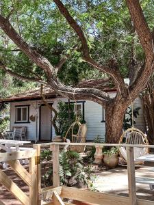 una casa con un árbol delante de ella en Sky Travelers סקיי מטיילים, en Ramot