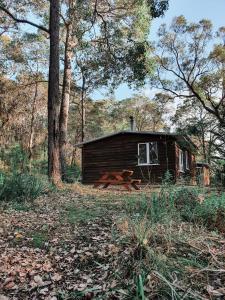 a small wooden cabin in the woods with trees at Gum Grove Chalets in Denmark