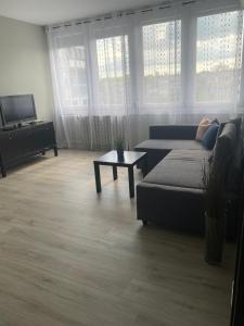 a living room with a couch and a television at Dózsa Apartman in Gödöllő