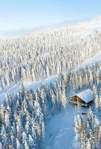 una cabaña en medio de un bosque cubierto de nieve en Levi Ski IN Ski OUT Premium VillaWestWind B en Levi