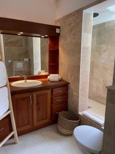 a bathroom with a sink and a shower and a toilet at Wahoo lodge, piscine privée, orient bay in Orient Bay French St Martin