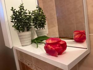 Foto dalla galleria di Apartment LALA a Sombor