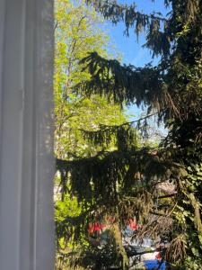 Giardino di Apartment LALA
