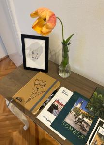 Foto dalla galleria di Apartment LALA a Sombor
