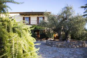 a house with a tree in front of it at Il Bottaccio Casa di Campagna in Venturina Terme