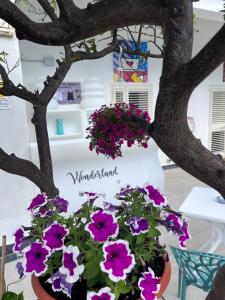 un vaso di fiori con fiori viola davanti a una torta di Wonderland a San Teodoro