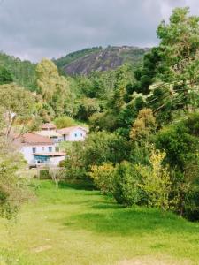 a house in the middle of a field with trees at Chalé Sonho Diniz 1 in Monte Verde +40 photos