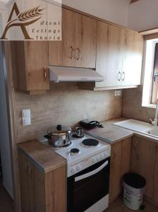 a kitchen with wooden cabinets and a stove top oven at Aloni Cottage above Aegean Sea in Raches