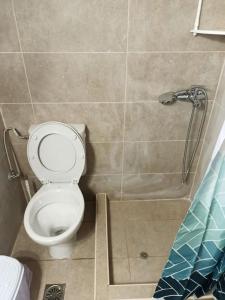 a bathroom with a toilet and a shower at Aloni Cottage above Aegean Sea in Raches