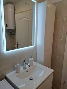 a bathroom with a sink and a mirror at Apartman Melita in Galižana