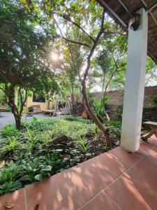 un patio avec des arbres et des plantes dans une cour dans l'établissement Elephant's House - Đường Lâm Homestay, à Hanoï