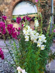 A garden outside L'oca Nera