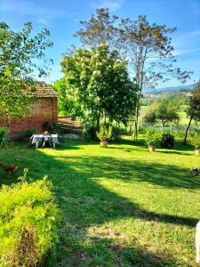 A garden outside L'oca Nera