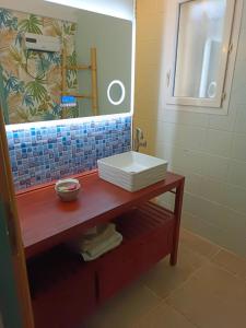 La salle de bains est pourvue d'un lavabo et d'un miroir. dans l'établissement NOTRE PETIT COIN DE PARADIS chambre privée chez l'habitant, à Seillons-Source-dʼArgens
