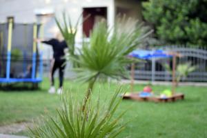 uma pessoa a brincar com um frisbee num quintal em Vila Marija - Teo em Star Dojran