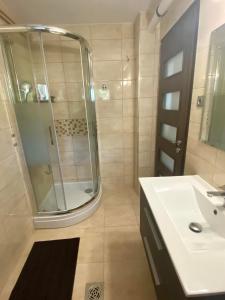 bagno con doccia, lavandino e specchio di Kisduna ház a Dömsöd