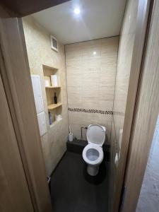 een badkamer met een toilet in een kleine kamer bij LUNA Apartamentai in Akmenė