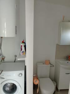 ビビニェにあるAP JURISICの小さなバスルーム(洗濯機、トイレ付)