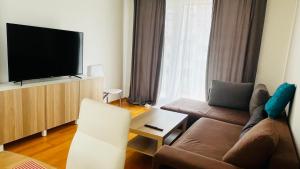 uma sala de estar com um sofá e uma televisão de ecrã plano em Apartment Hurka - 15 min do centra, garaz em Praga