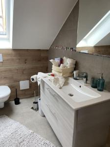 a bathroom with a sink and a toilet at Zeit zum Wohlfühlen FeWo Hofmark 