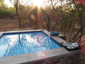 a swimming pool in a garden with the sun shining at Villa de Leeu, Perfect for Two in Marloth Park