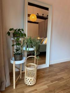 a room with a table with plants and a mirror at Annavälla gårdshus in Skurup