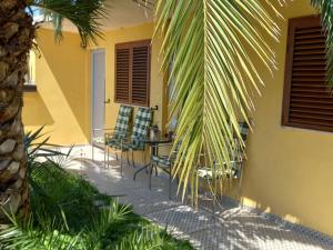a patio with chairs and a table and a palm tree at Apartment Solinska Pot in Portorož