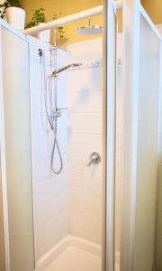 a shower with a glass door in a bathroom at LOFT TIRANO 3 minuti dal Bernina Express in Tirano
