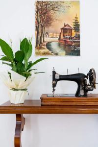 a sewing machine sitting on a table next to a painting at TRENTINO LODGE Via San Vito in Strigno